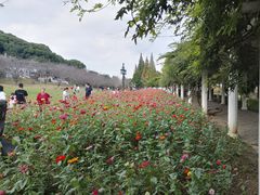 -苏州上方山国家森林公园