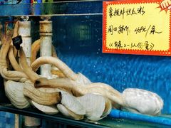 -蚝专家(北滘店)