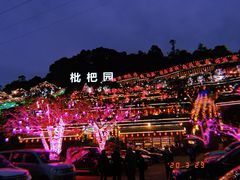 -枇杷园食为鲜火锅(南山店)