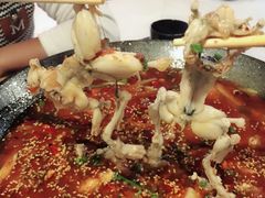 -靓蛙馆