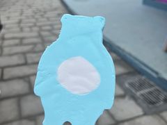 -海合安青岛极地海洋公园