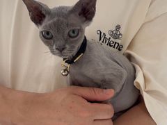 -德元·美联众合24小时动物医院(总院)