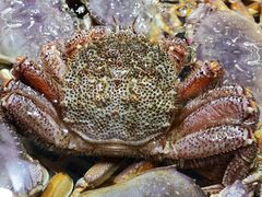 -盒马鲜生(馥邦国际店)