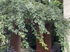 -谷咖啡·鲜花绿植花园餐厅