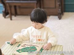 -金牛子韵湖春晓蒙氏幼儿园(洪山校区)