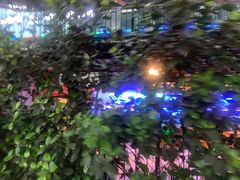-老宋家鱼馆(北滨路店)