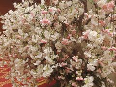 -彩葉·樱花屋日本料理(动物园店)