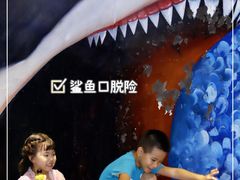 -贝壳梦幻世界