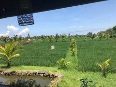 -Pundi Pundi Restaurant