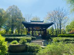 -武汉园博园(武汉自然博物馆)