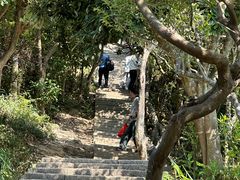 -梧桐山风景名胜区