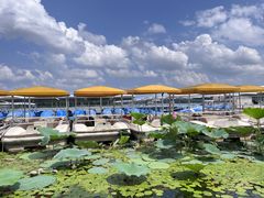 -长春市南湖公园