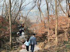 -南京市江宁方山