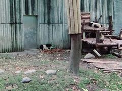 -成都大熊猫繁育研究基地-熊猫厨房