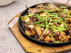生啫鲜猪杂-粤·向群饭店(龙津东路总店)