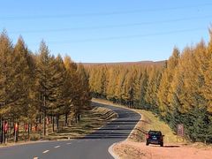 -塞罕坝国家级自然保护区