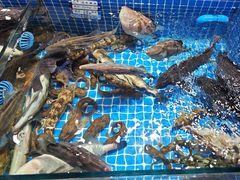 -渔港甄宴·海鲜·地标烟台菜(金沙滩店)