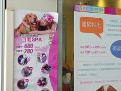 -北京观赏动物医院·24小时大型综合·猫专科·异宠专科