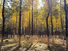 -艾溪湖湿地公园