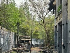 -两江国际影视城