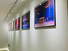 -中央芭蕾舞团·中芭艺蕾(酒仙桥明星校区)