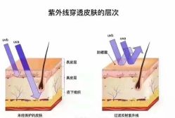 -S庆熙美学皮肤管理
