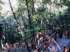 -大岭沟猕猴桃谷风景区