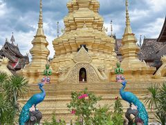 -西双版纳傣族园