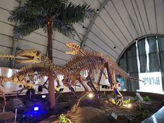 -辽宁古生物博物馆