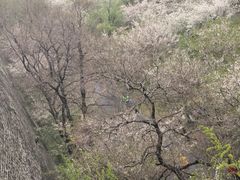 -九华山公园