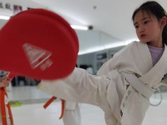 -极真空手道修远道场