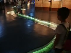 -中国京杭大运河博物馆