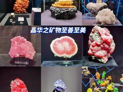 -南京博物院