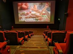 -万达影城(锦华万达广场IMAX店)