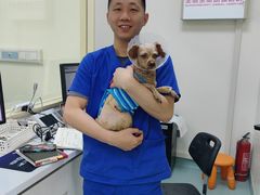 -全心全意动物诊疗中心医院(北苑店)