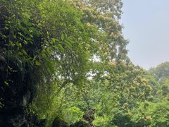 -成都杜甫草堂博物馆