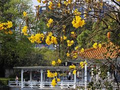 -荔湾湖公园
