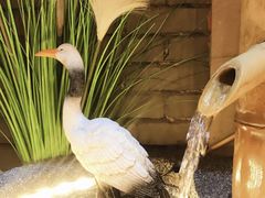 -锅来乐地锅鸡(安亭店)