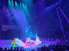 -珠海横琴长隆《卡卡虎奇遇记》