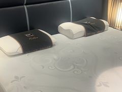 -KINGKOIL金可儿床垫(北五环红星美凯龙店)