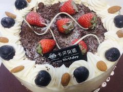 -卡滋贝诺动物奶油生日蛋糕(亚太潮尚店)