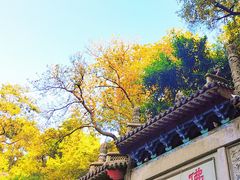 -广州市白云山风景名胜区