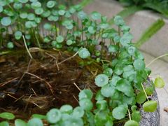 -段氏龙虾·烧烤·烤鱼(东书房路店)