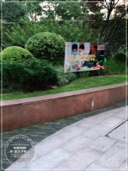 -金太子形象设计