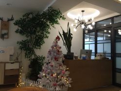 -Union瑜伽健康管理中心