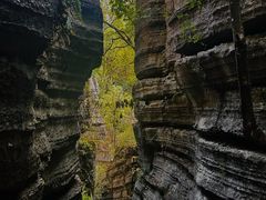 -梭布垭石林景区