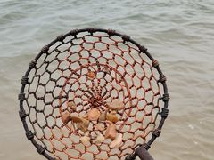 -日照灯塔风景区