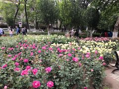 -睦南公园
