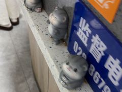 -半岛宠物医院24小时(白果林店)