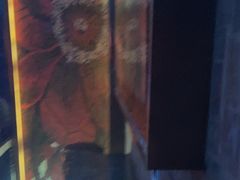 -格莱美量贩式KTV(奥帆店)